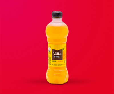 Suco garrafa (450ml)